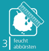 GraffitiEntferer PLUS