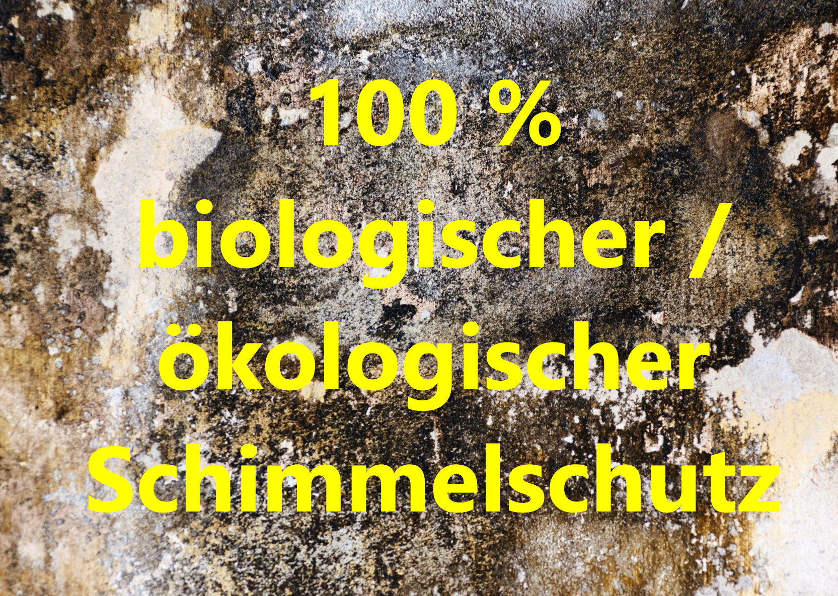 Schimmel 100% Ökologisch